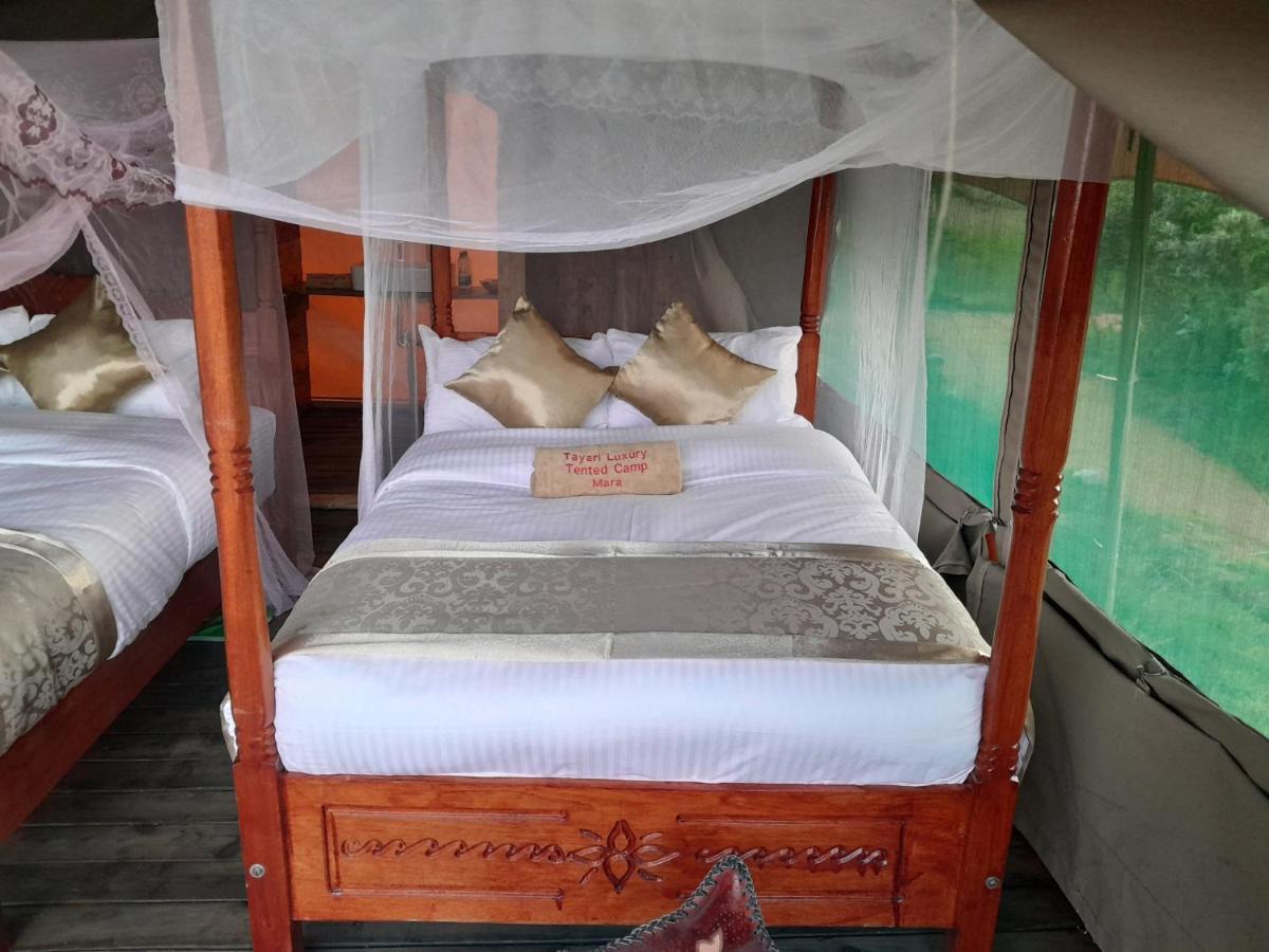 Tayari Luxury Tented Camp - Mara Sekenani 외부 사진