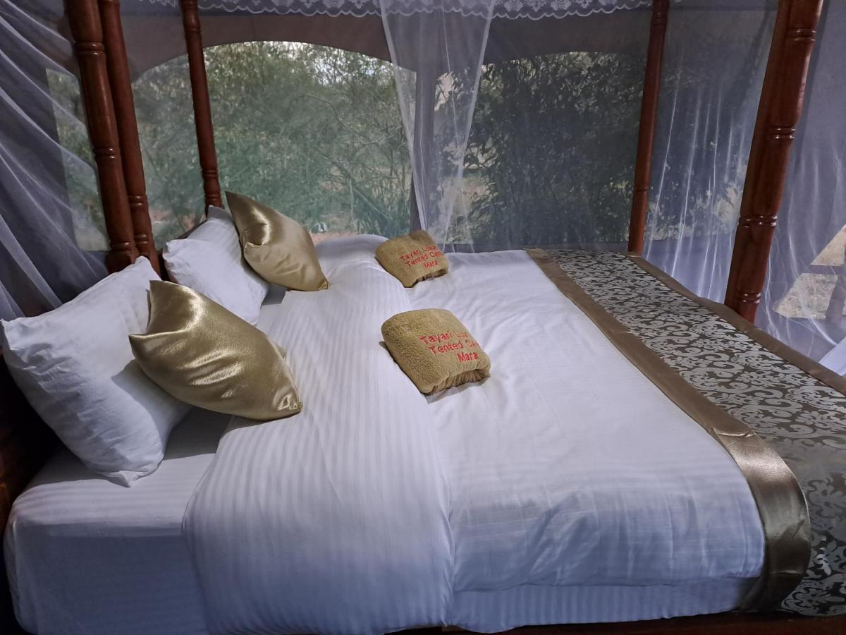 Tayari Luxury Tented Camp - Mara Sekenani 외부 사진